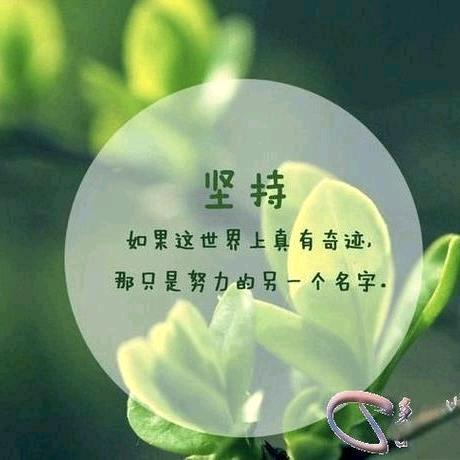 🍉   记录 美好生活 🍊