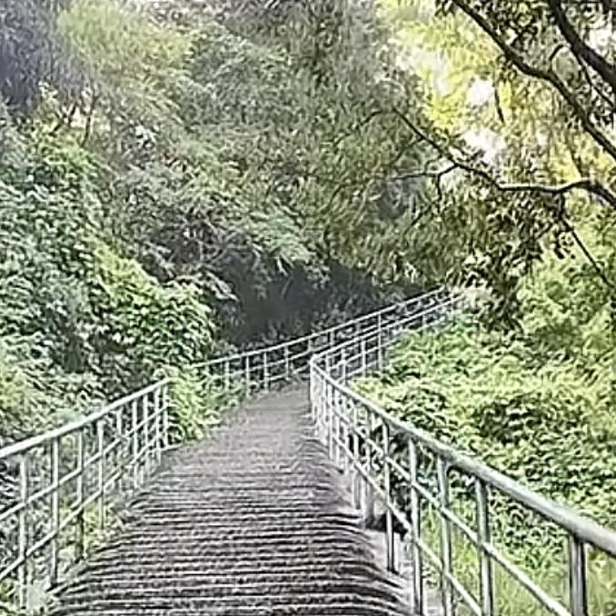 化而有十