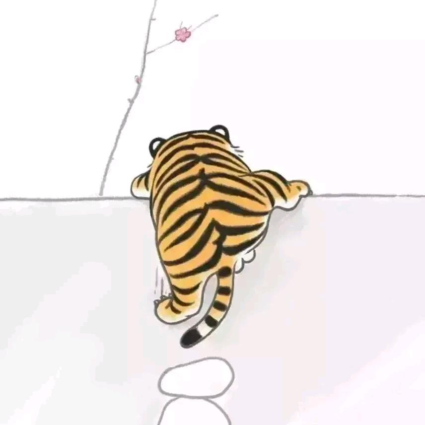 趴墙看世界