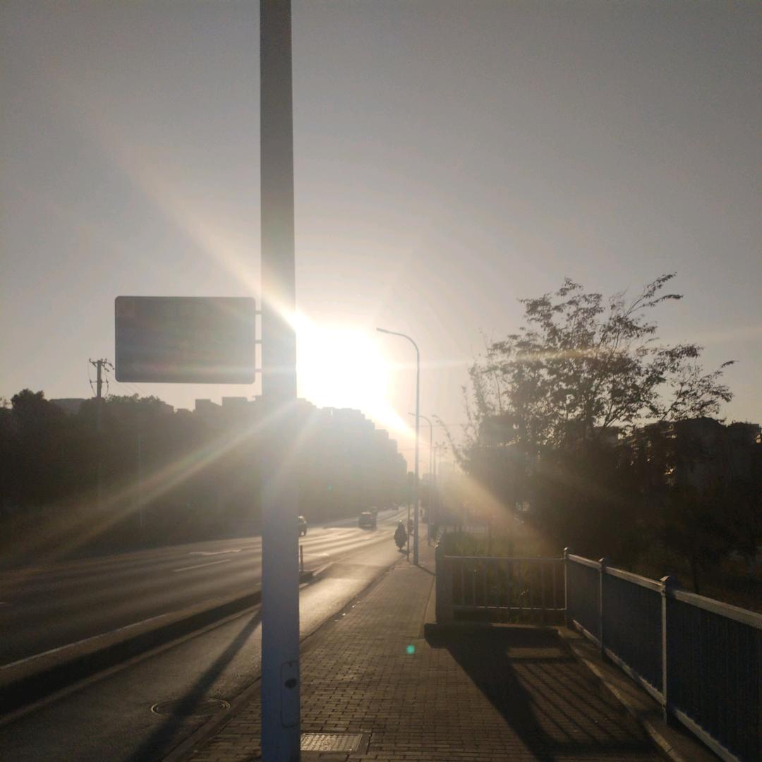 佐（自律style）