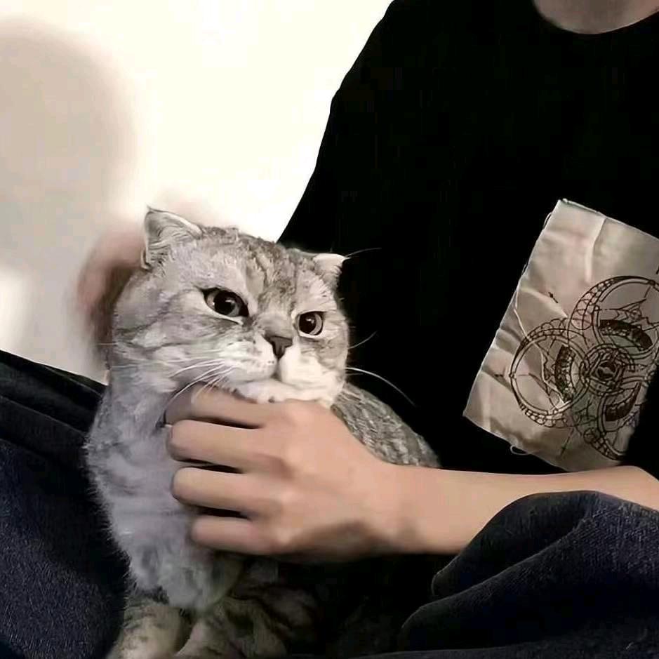 阿月🧊