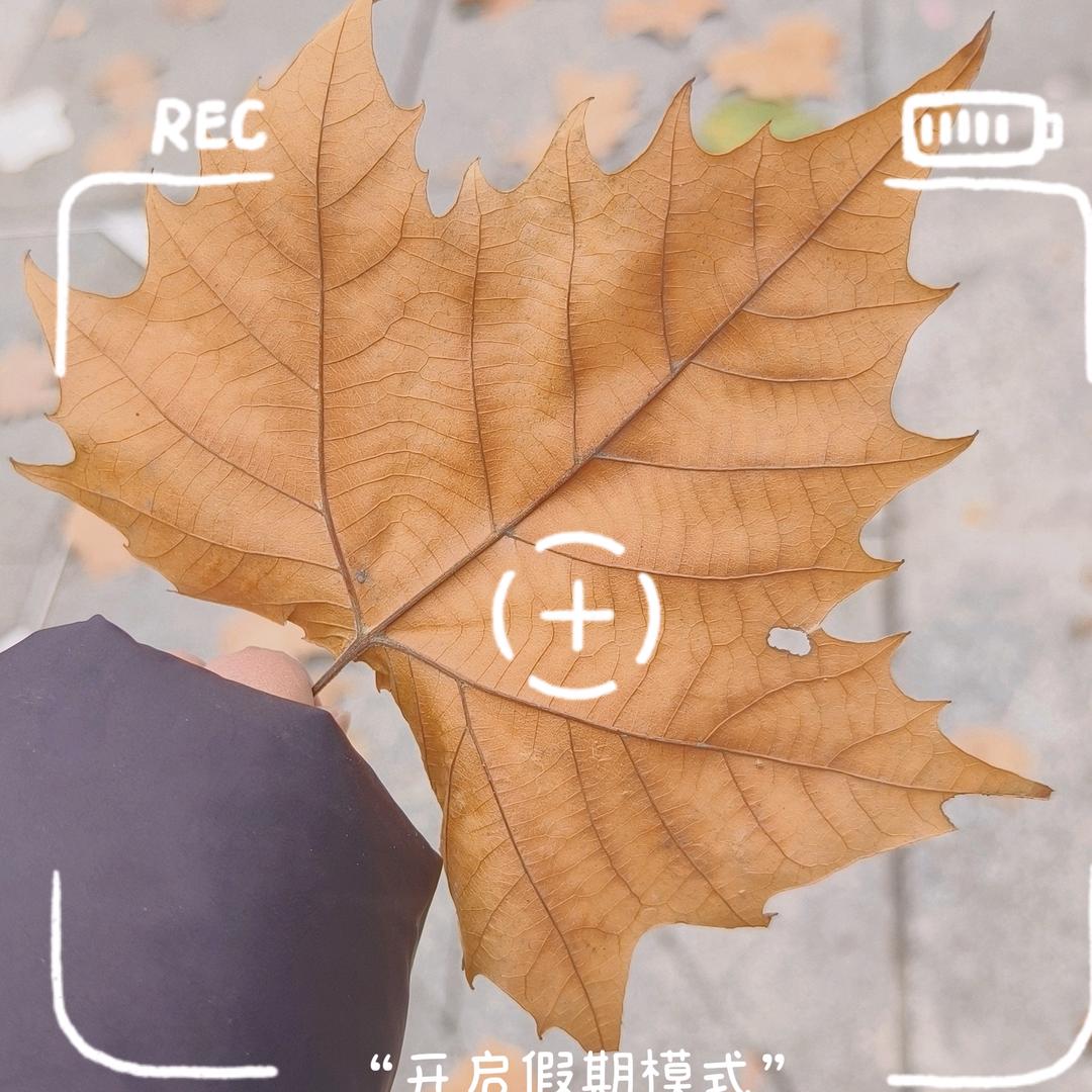 qian多多