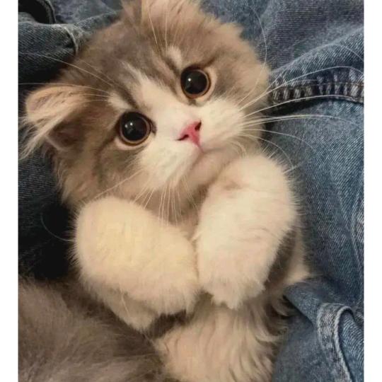 浩承公司设计老师