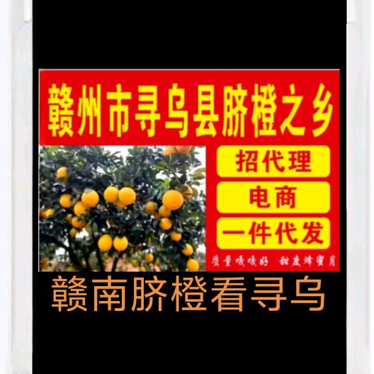 江西省赣州市寻乌县脐橙之乡！赣南脐橙看寻