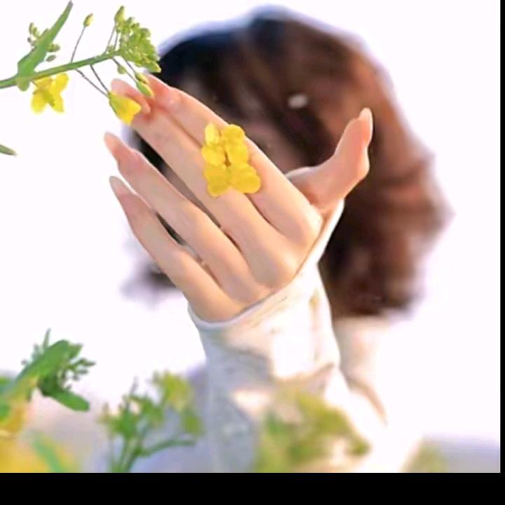 花🌹🌹开花落