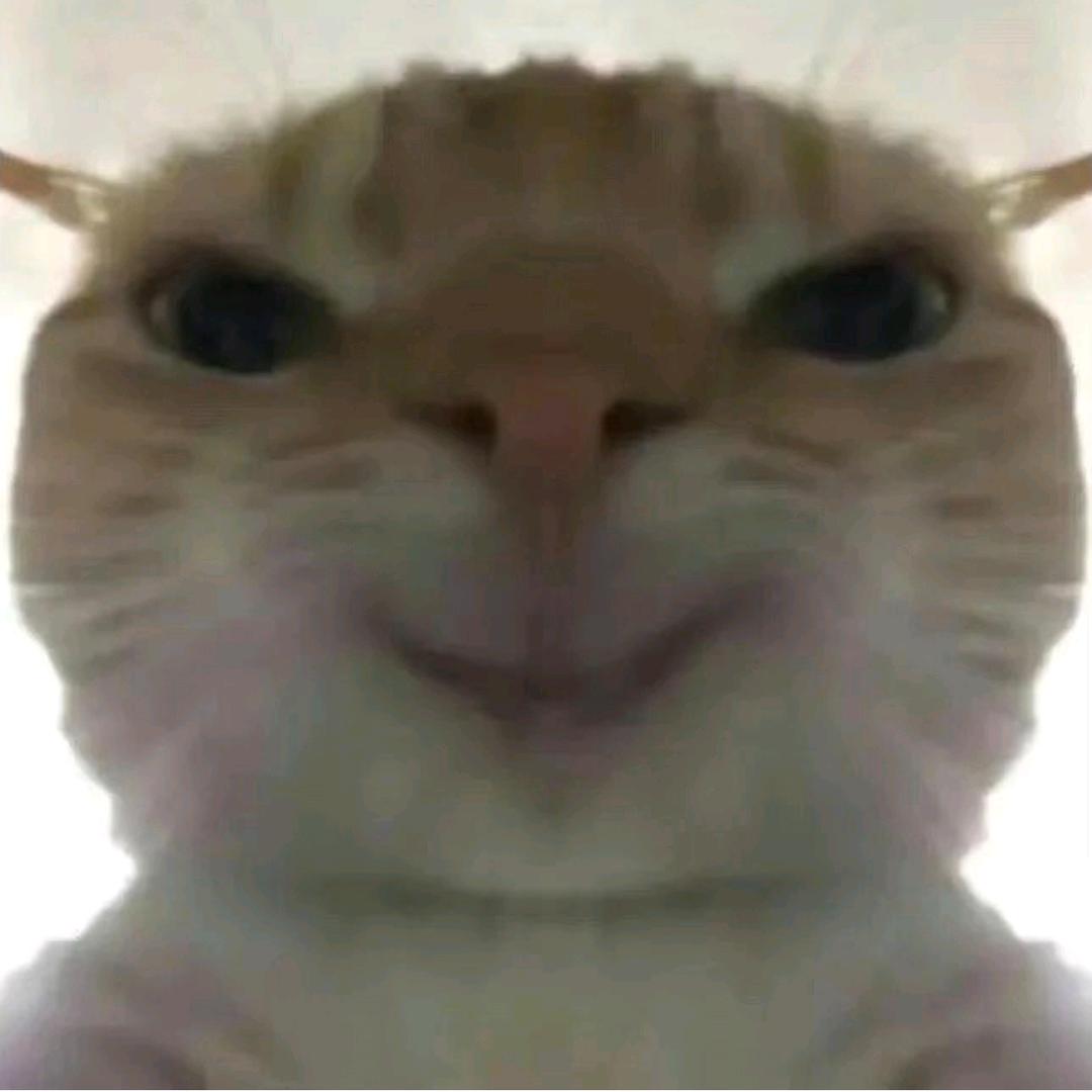 曼波大人