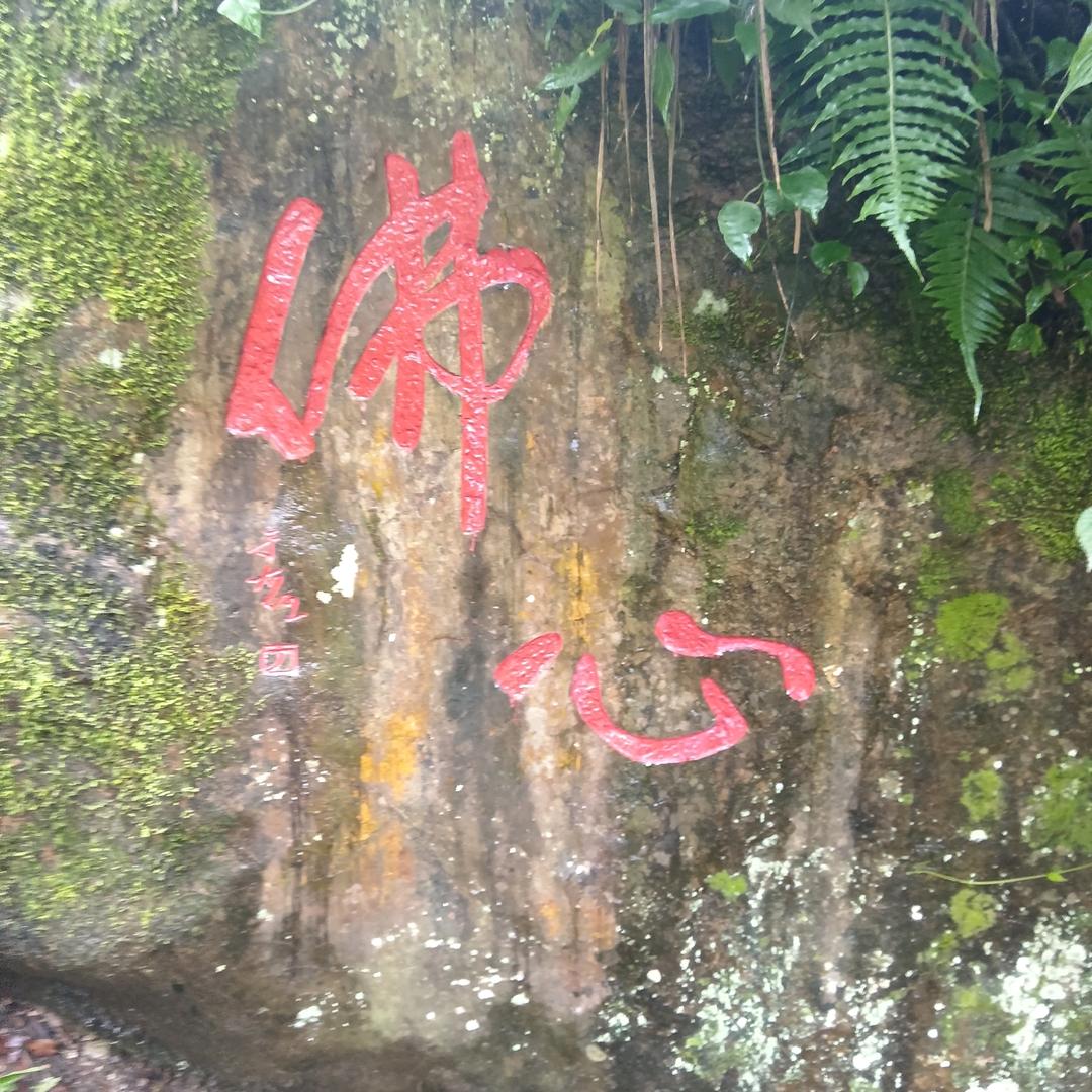 飞哥
