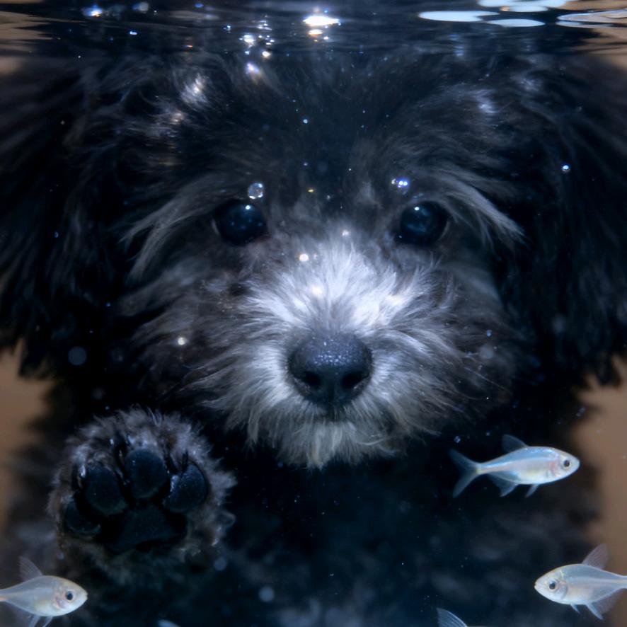 August♡＾▽＾♡