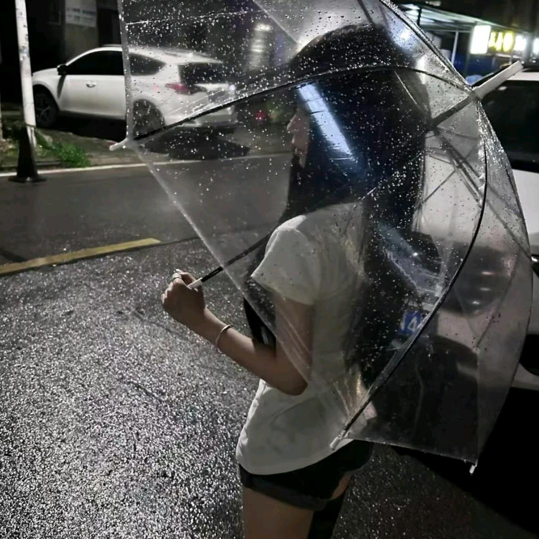 训犬专家