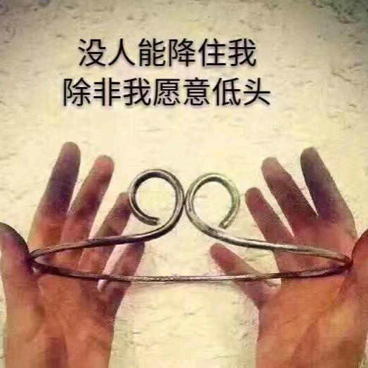 东楮岛扛把子💤
