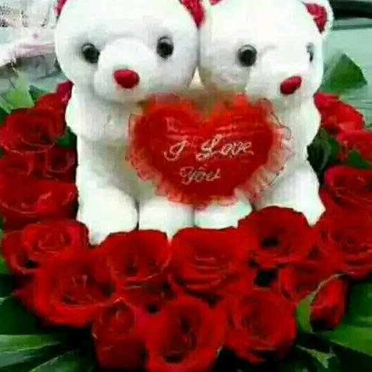 《顺🌹其🌹自🌹然》不定时开播