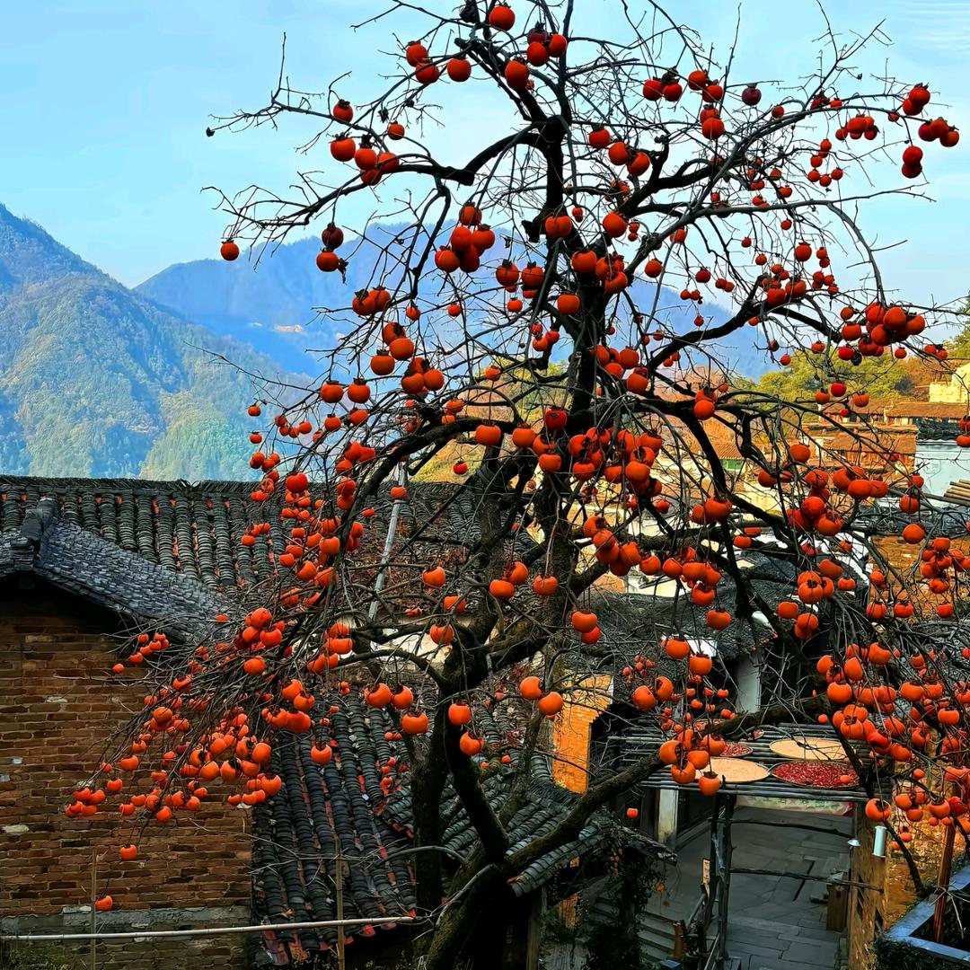 ঞ幸᭄ഒᩚ运࿐