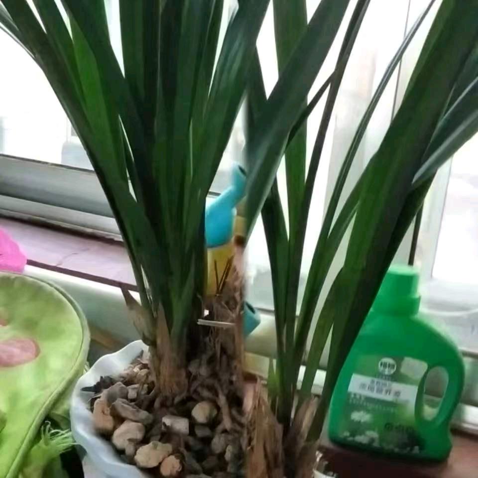 快乐！