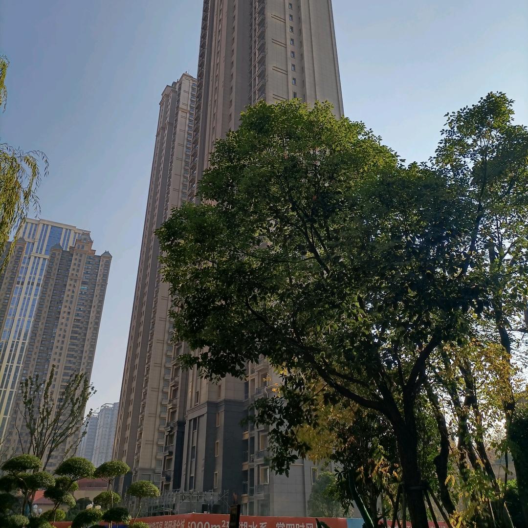 萌顺贸易有限公司直播号