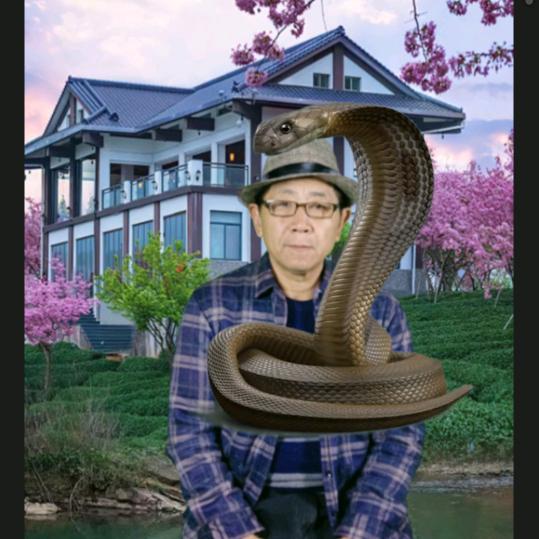 老郁绿幕