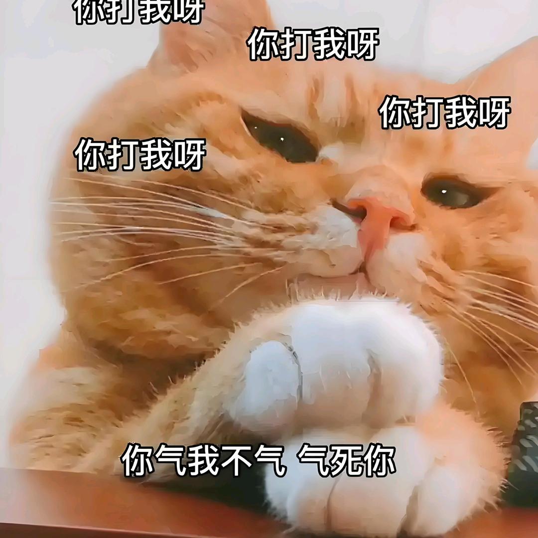 欠揍
