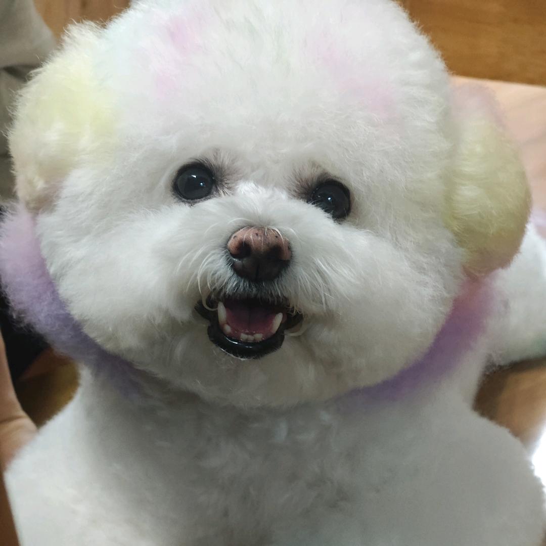 晚晚 baby