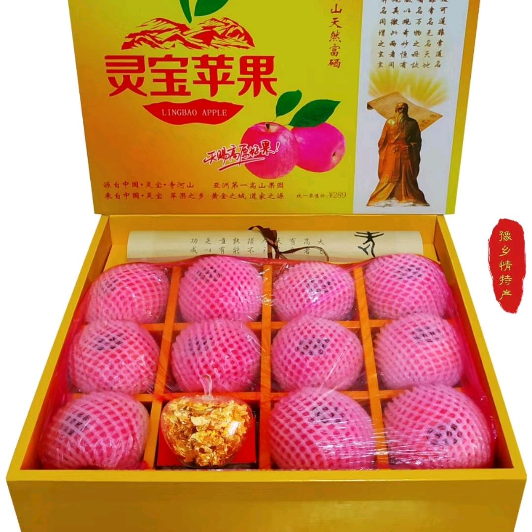 薛召 郑州灵宝寺河山苹果