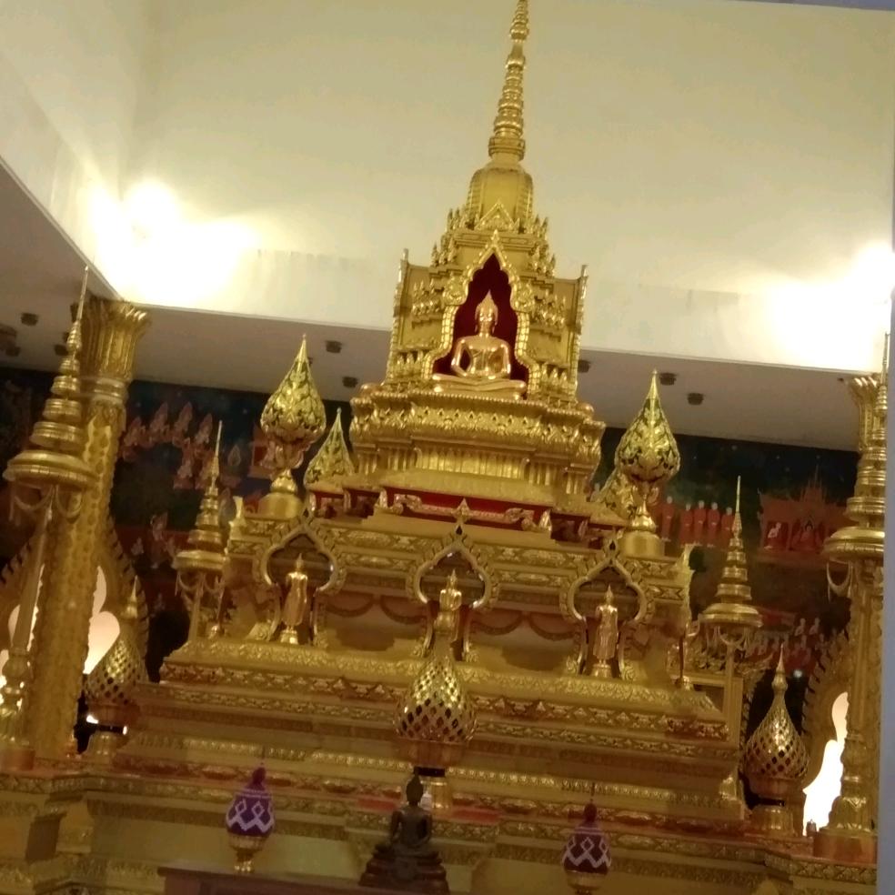 洛阳王朝🌹🌺🌷🌺🌹🌷