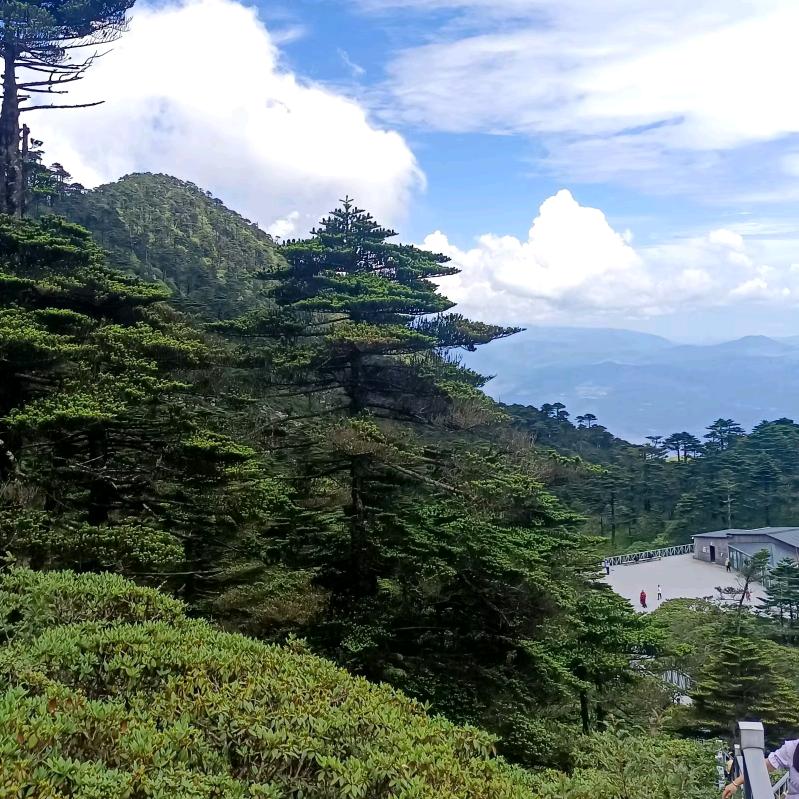 欣雨精品折扣店