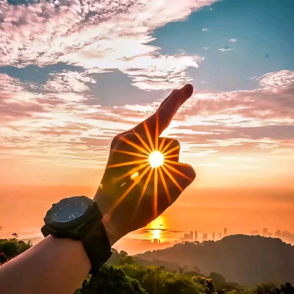 帥 （感恩记仇）