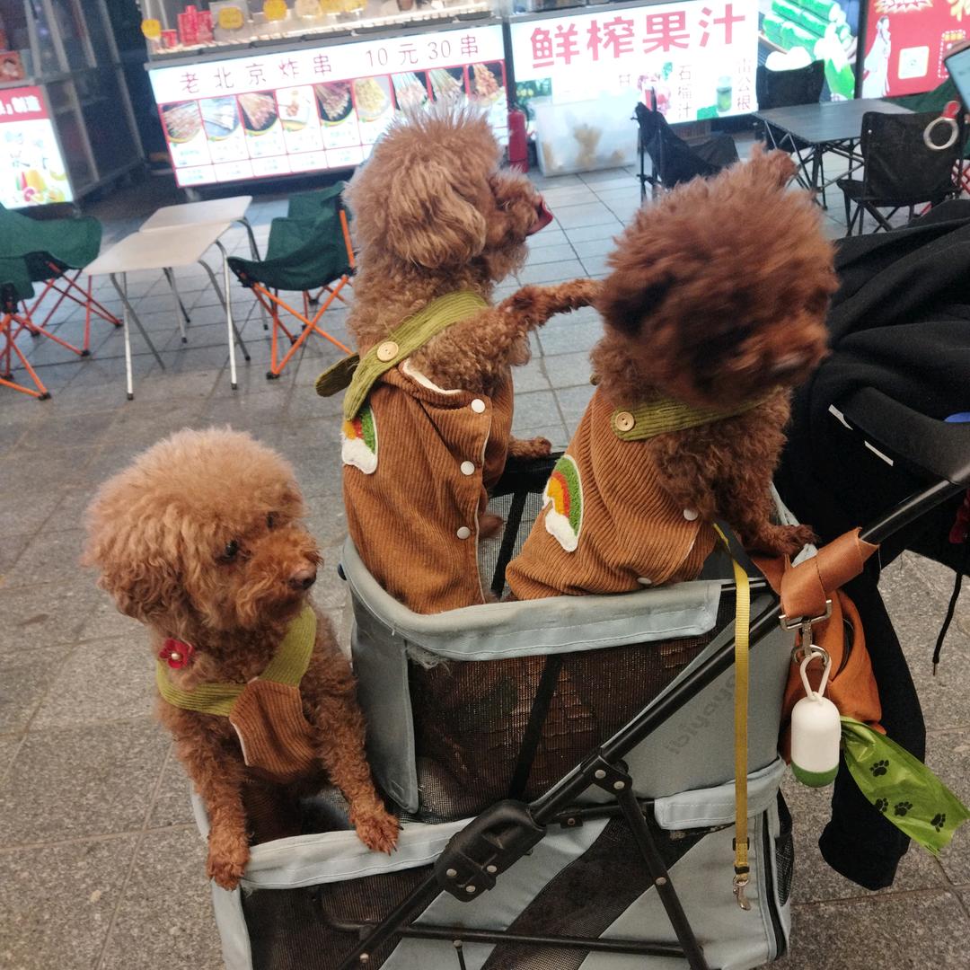 哄哄我