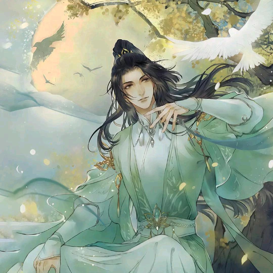白鸽浅翔