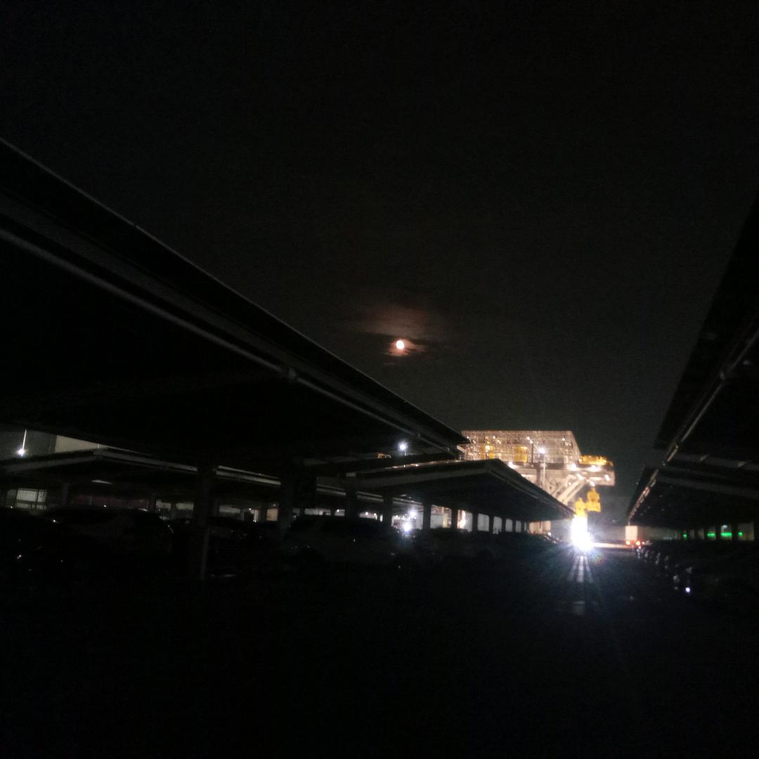 潇潇