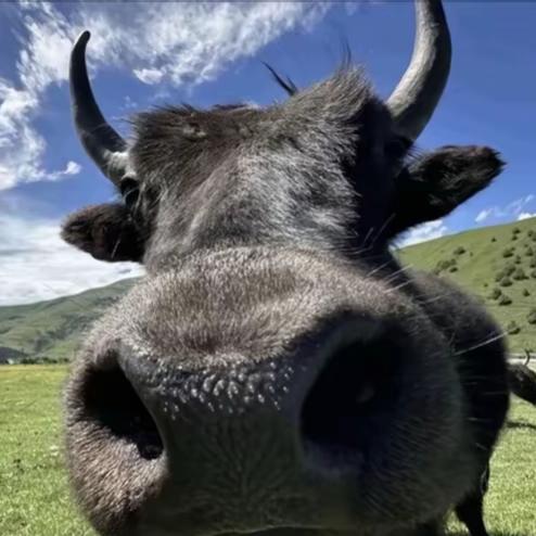 68岁纯情老汉凌晨三点屎没憋住被护工暴打