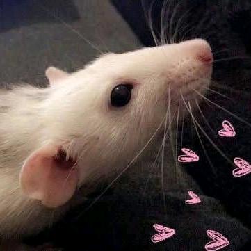 ₊⁺꒰ঌ饱含杀意