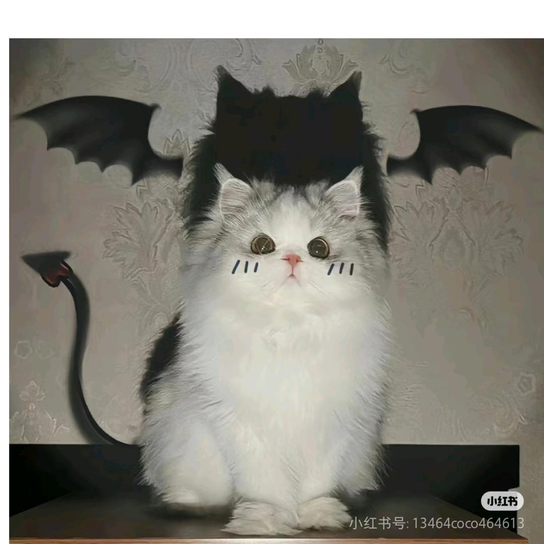 宇