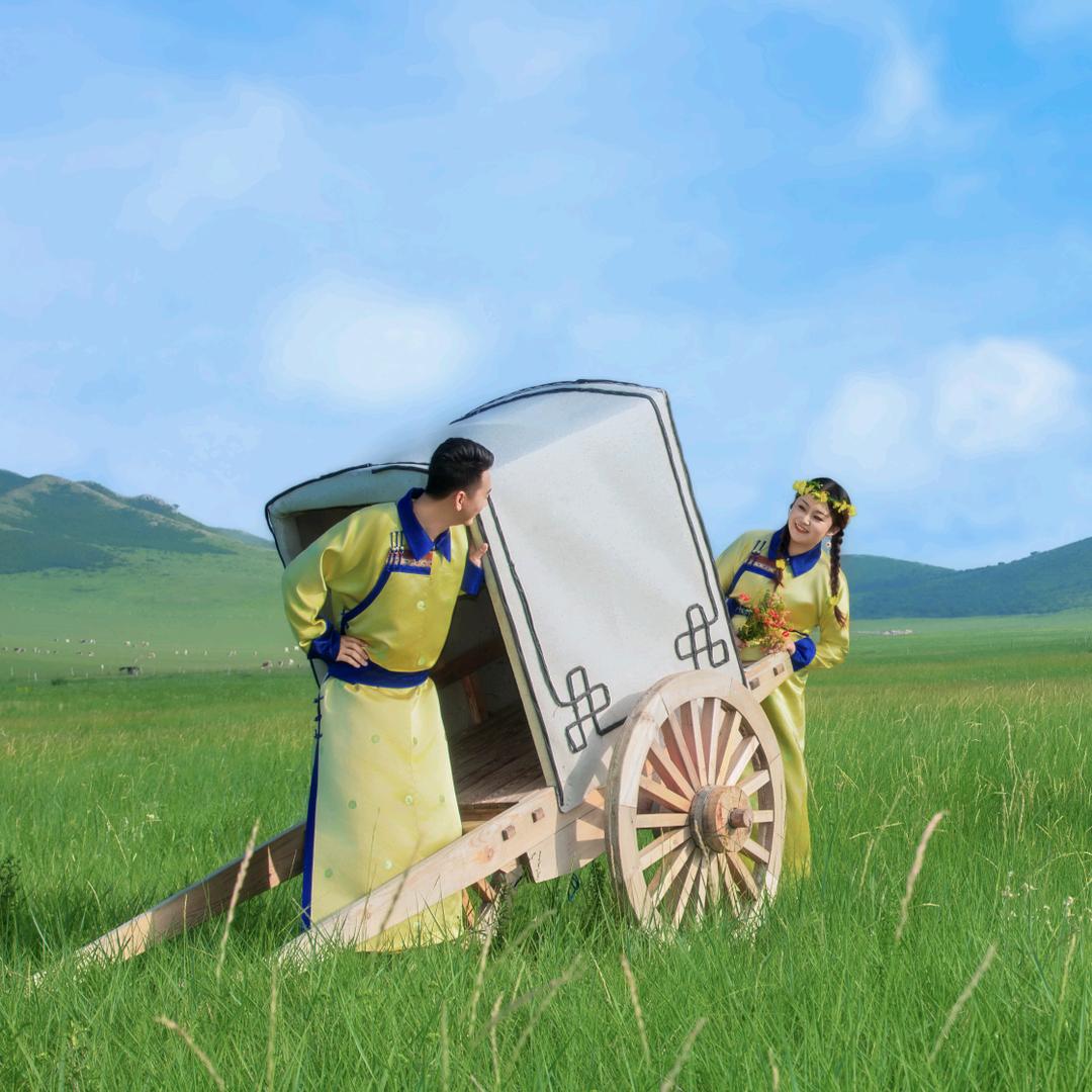 那只叫土豆子的喵