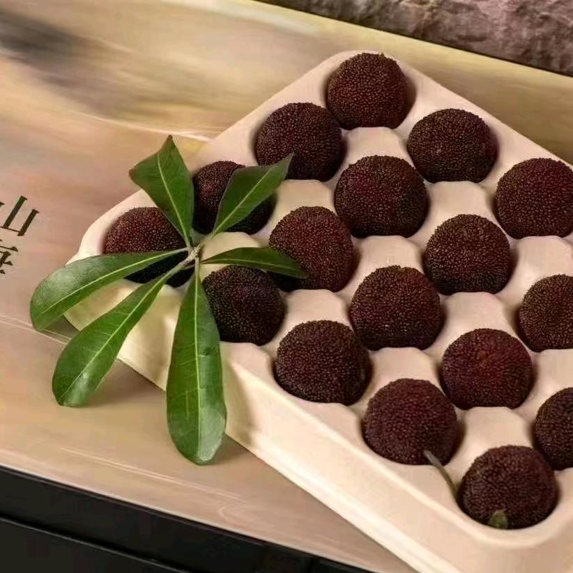 🔴杨梅大王
