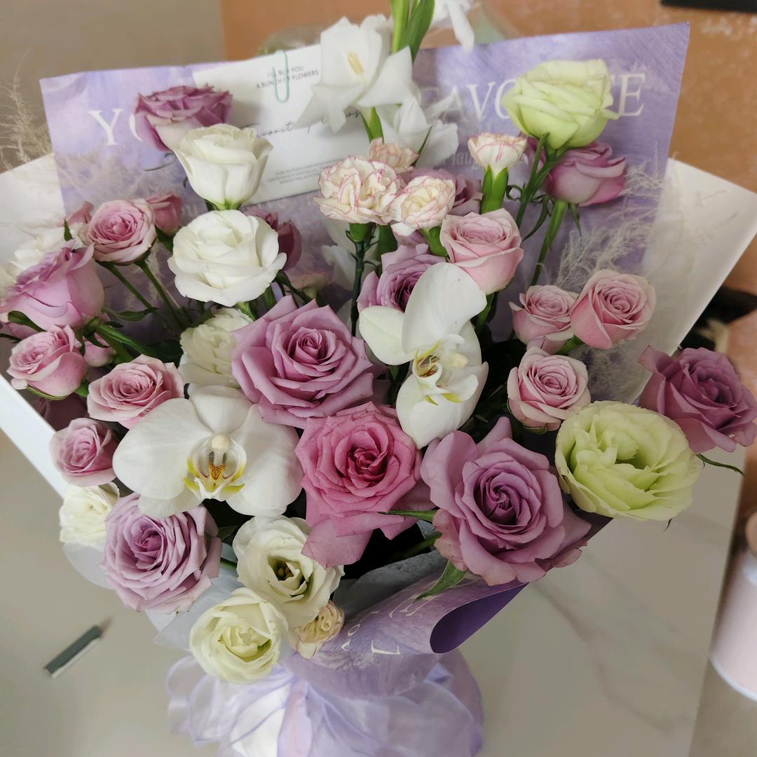 大明湖畔的小燕子