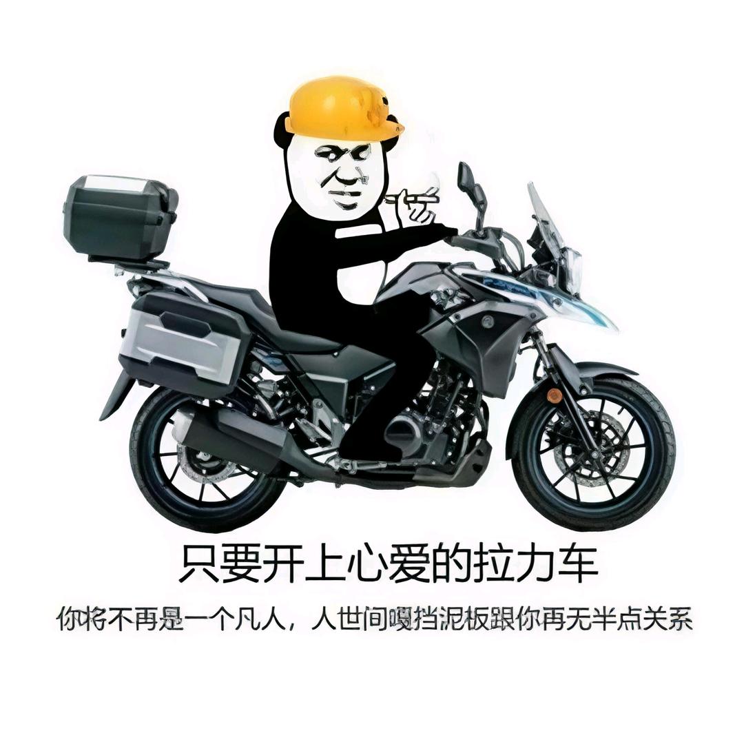 续小勇DL250）