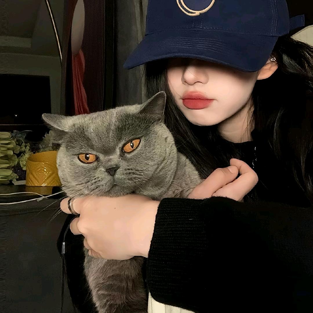 每天不一个的视频