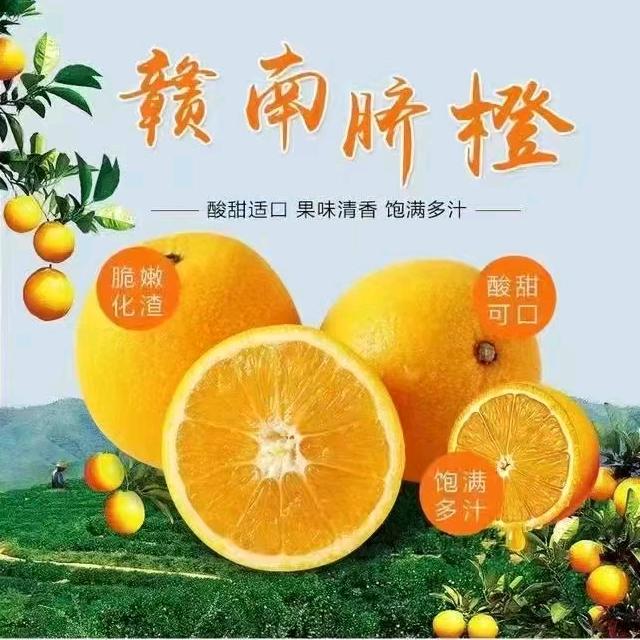 漂洋过海来看你