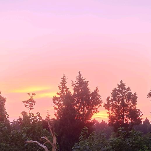 缺牙巴女孩👧🏻