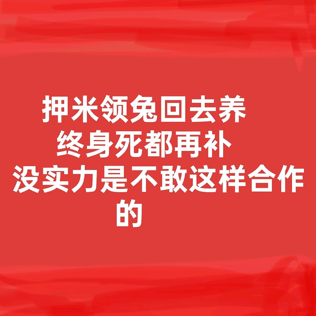 批发兔子