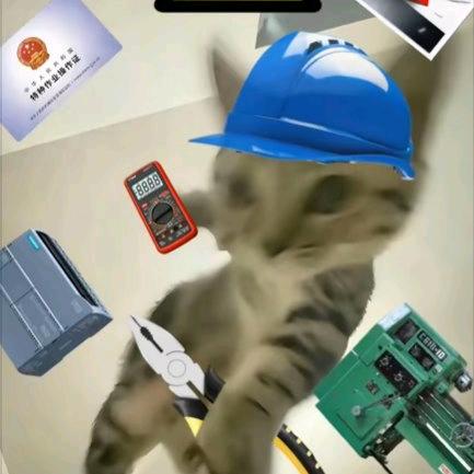 哈哈哈吼吼吼