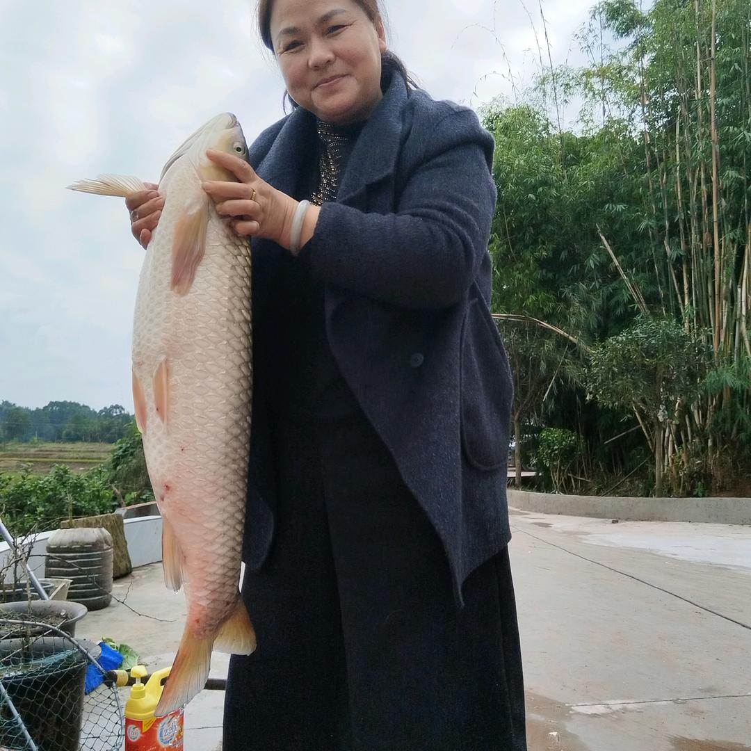 远嫁的70后老太太