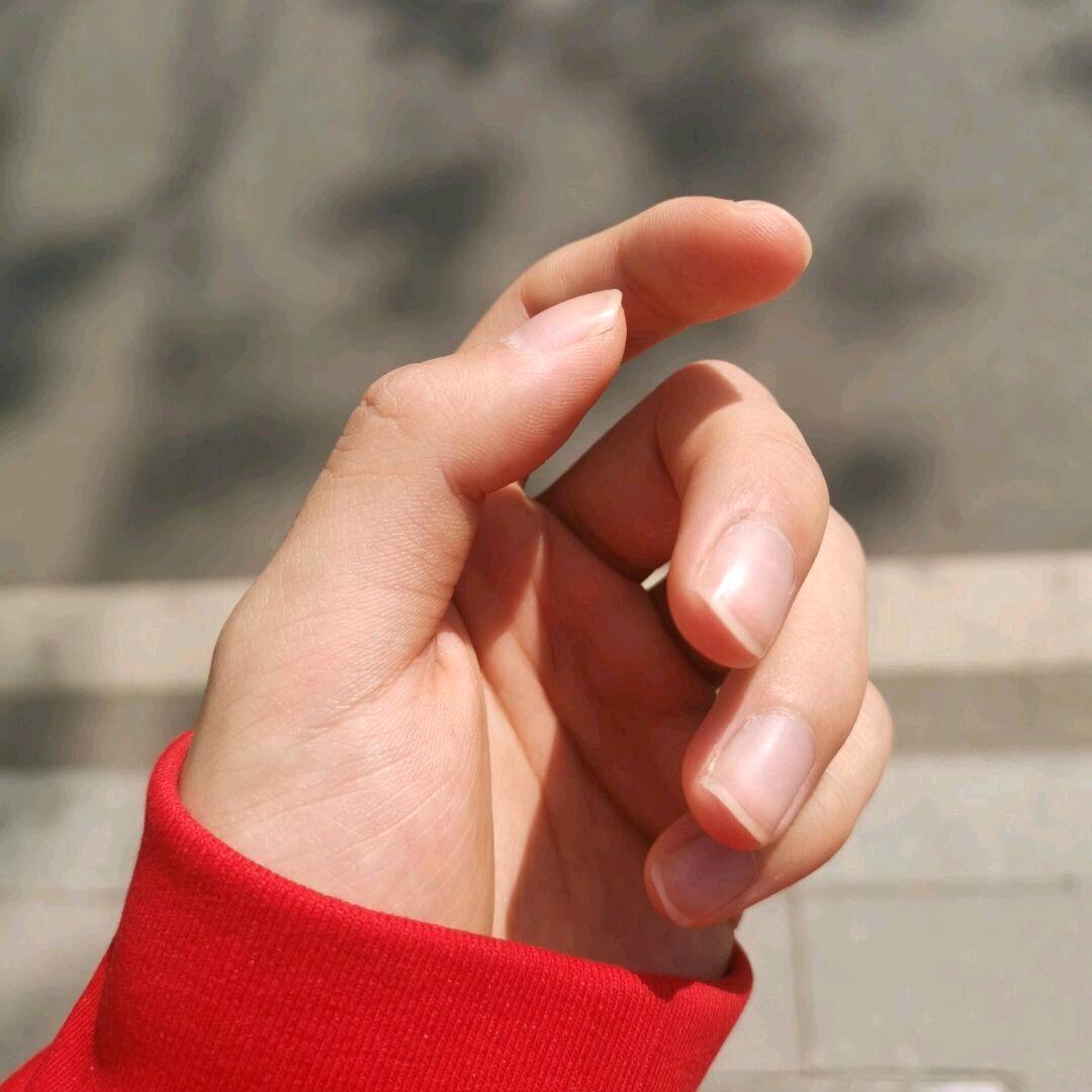 霁月花凉（直播版）