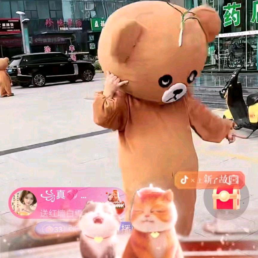 聪聪熊（户外）