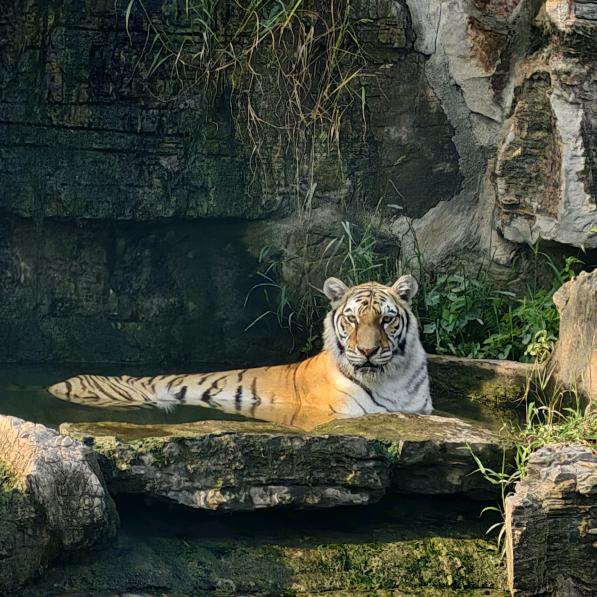 不想上班！！！