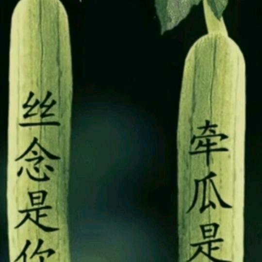 为情所爱