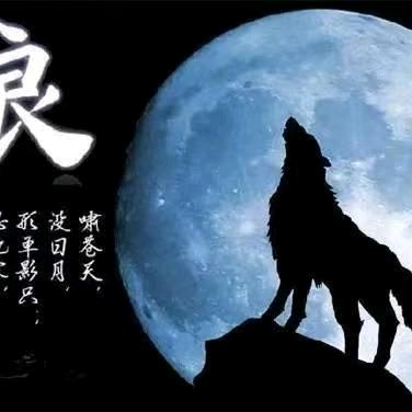 月梦星尘👉🏻六六来了
