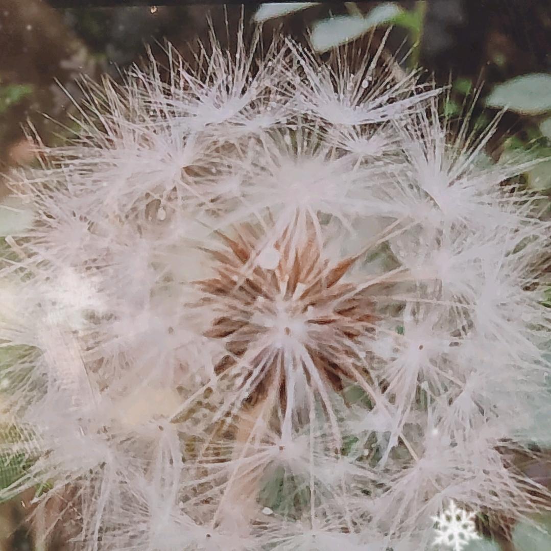 💞七࿐🦋ꦿ໊月᭄🕊宝\᭄ꦿᩚ٭