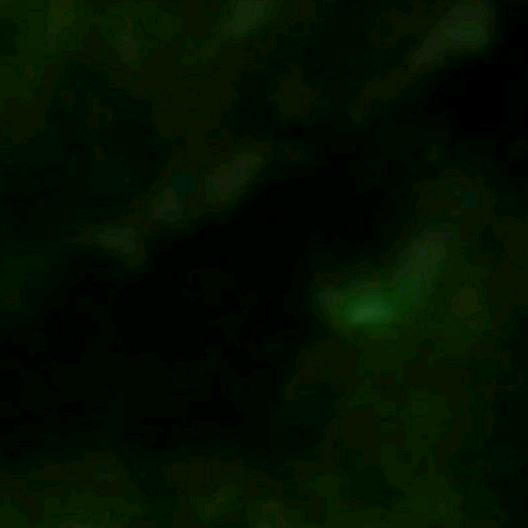 夜桥风泊
