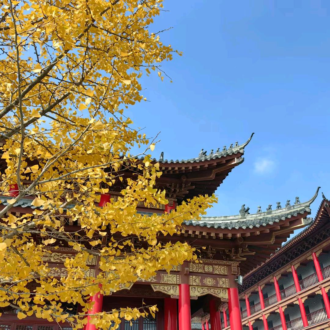 💕大眼👀欢萌😊