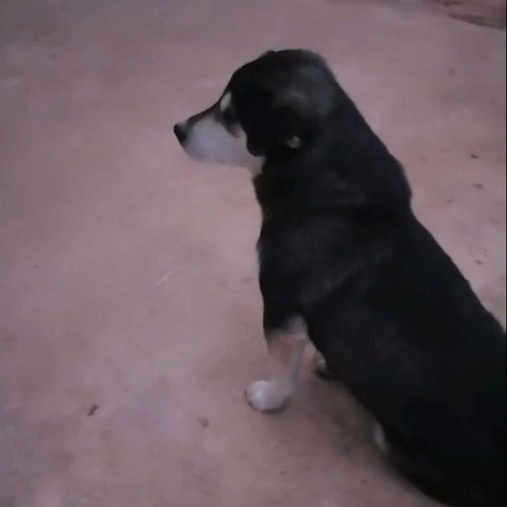 守约没有守约